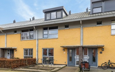 Kolibrievlinder 28