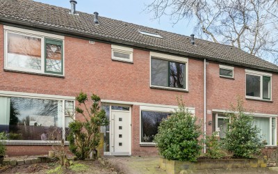 Kneppelhout. 14