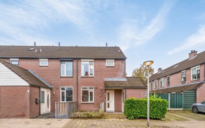 Engelwortel 38