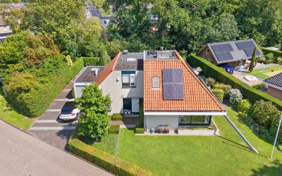 Gentiaan 16