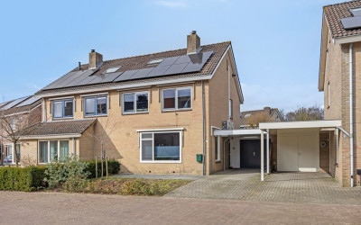 Kievitsbloem 10