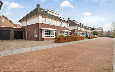 Edelinckstraat 15