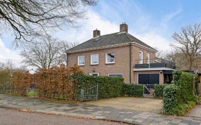 Allee 15