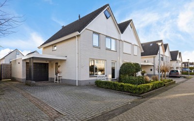 Grauwe Gans 7