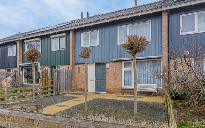 Treubstraat 20
