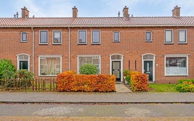 Goudsbloems. 119