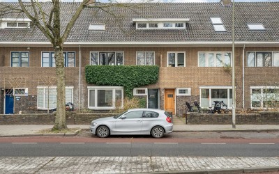 Hortensiast. 21