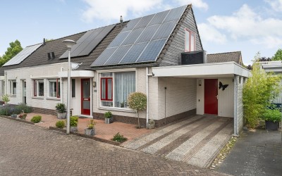 Citroenvlinder 11