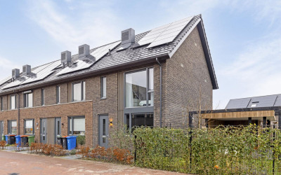 Paltrokmolen 11
