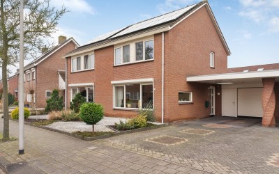 Reiger 19