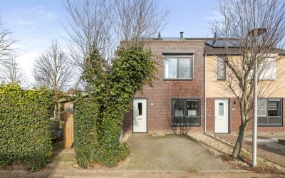 Groenling 9