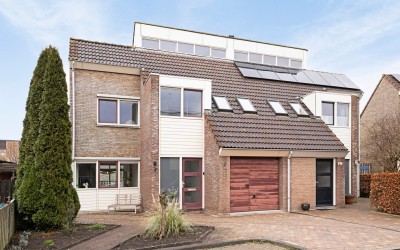 Scholekster 7
