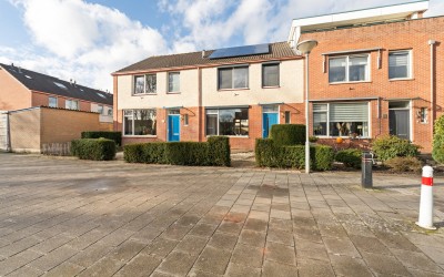 Tormentil 69