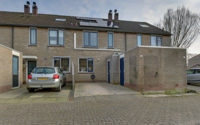 Ganzebloem 9