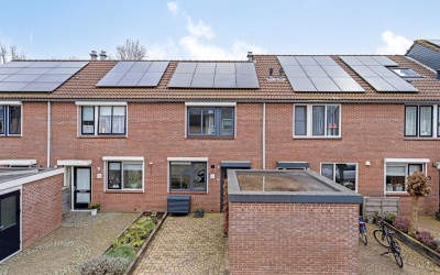 Goudplevier 48