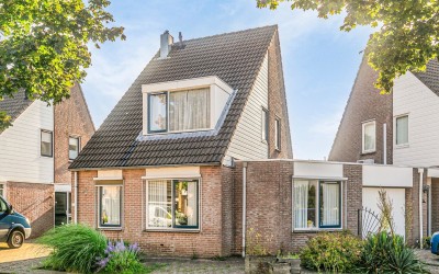 Goudplevier 120