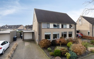Bûgel 8