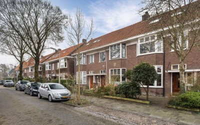 Ibisstraat 13