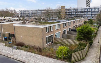 de Anjen 51