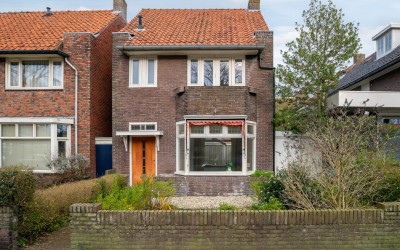 Goudenregen. 2