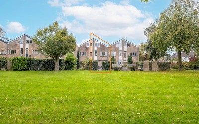 Zenegroen 94
