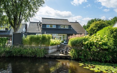Zwanebloem 5