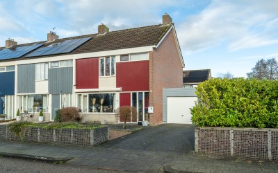 Wylster 11