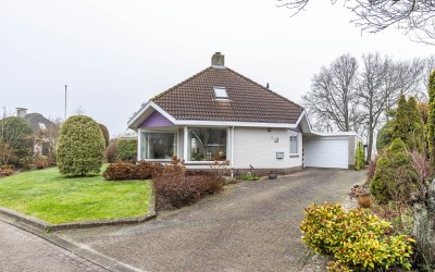 Wyldsang 4