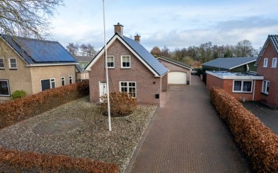 Pauloane 50