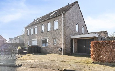 Boergoorn 23
