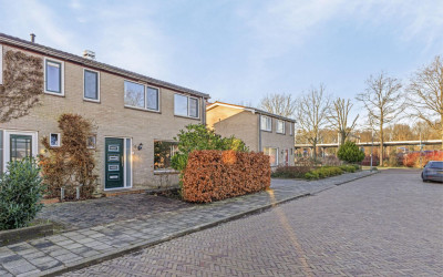 Violenstraat 4