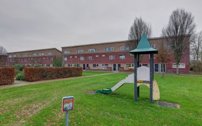 Rozemarijnt. 21
