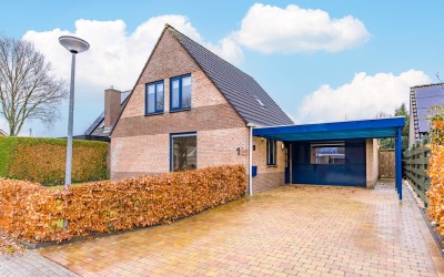 De Lijnstuk. 1