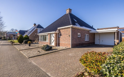 Boerhoorn 5