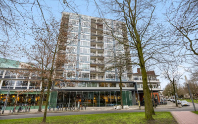 Hereplein 19