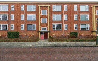 Pioenstraat 59