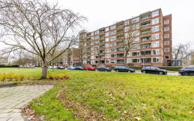 Wenckebachl. 50