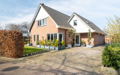 Zwanebloem 8
