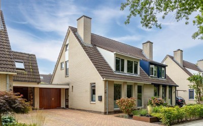 Zilverschoon 43